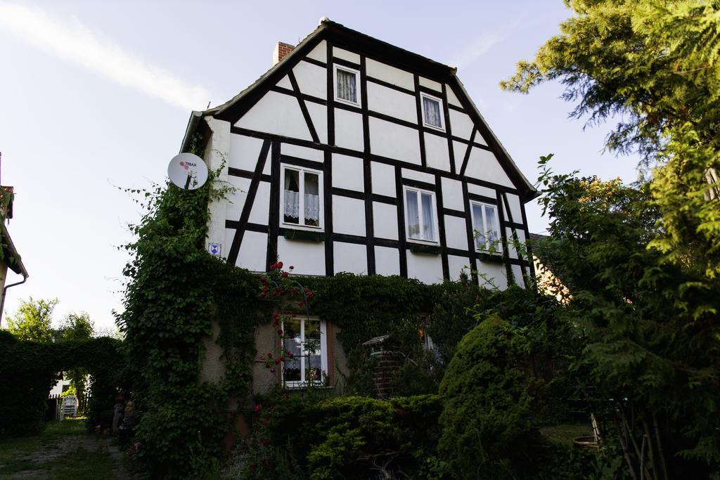 Pension Altstadt Борна Екстериор снимка