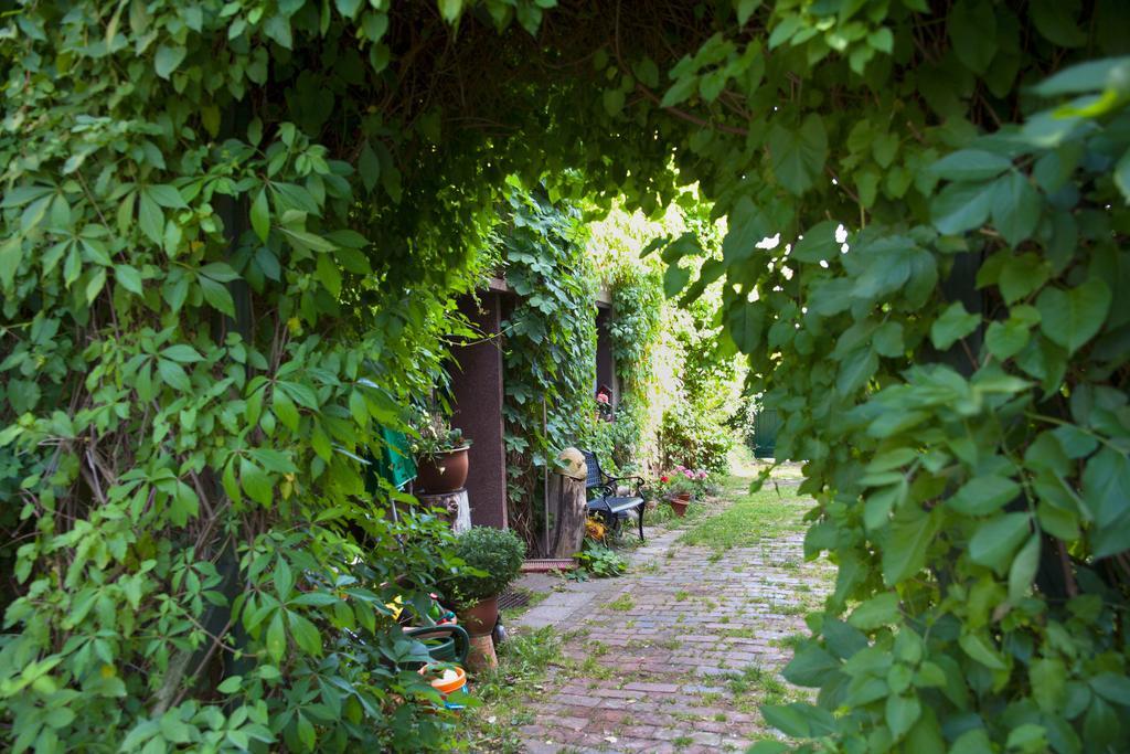 Pension Altstadt Борна Екстериор снимка