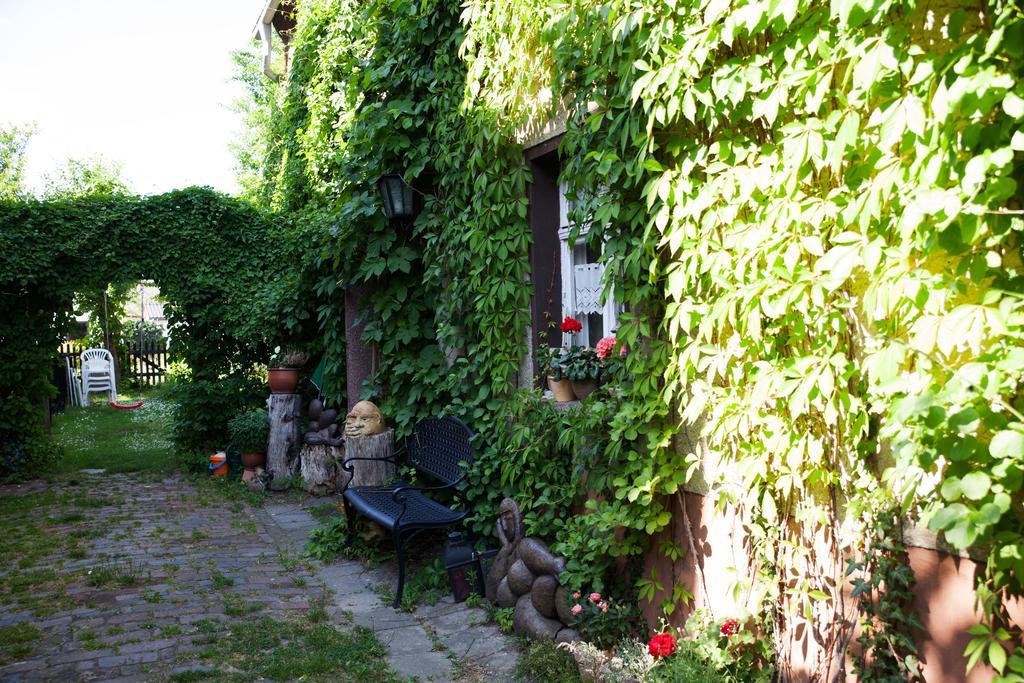 Pension Altstadt Борна Екстериор снимка
