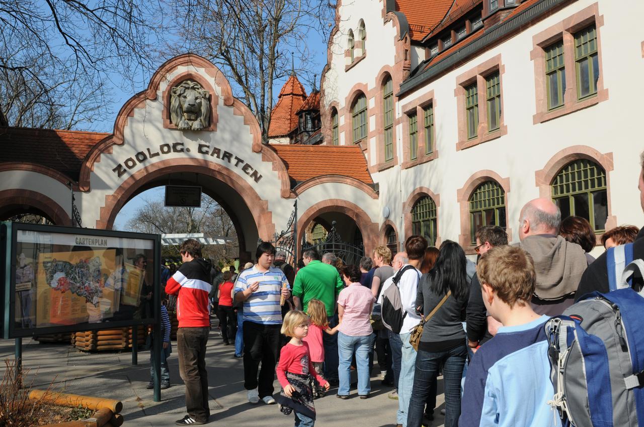 Pension Altstadt Борна Екстериор снимка
